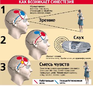 Сегодняшний гороскоп,любовный гороскоп овен стрелец